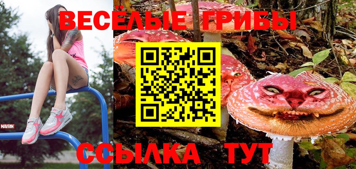 Псилоцибиновые грибы GOLDEN TEACHER Сегежа
