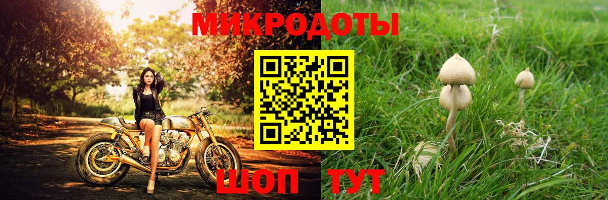Псилоцибиновые грибы мицелий  дарнет шоп  Сегежа  Вход с VPN 